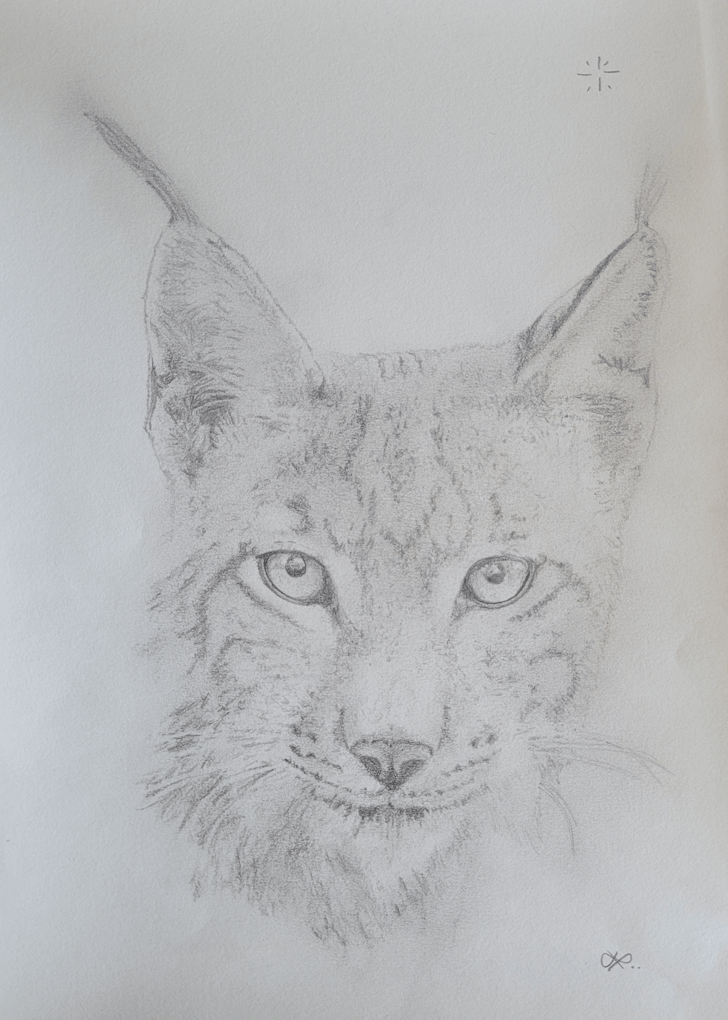 lynx.png